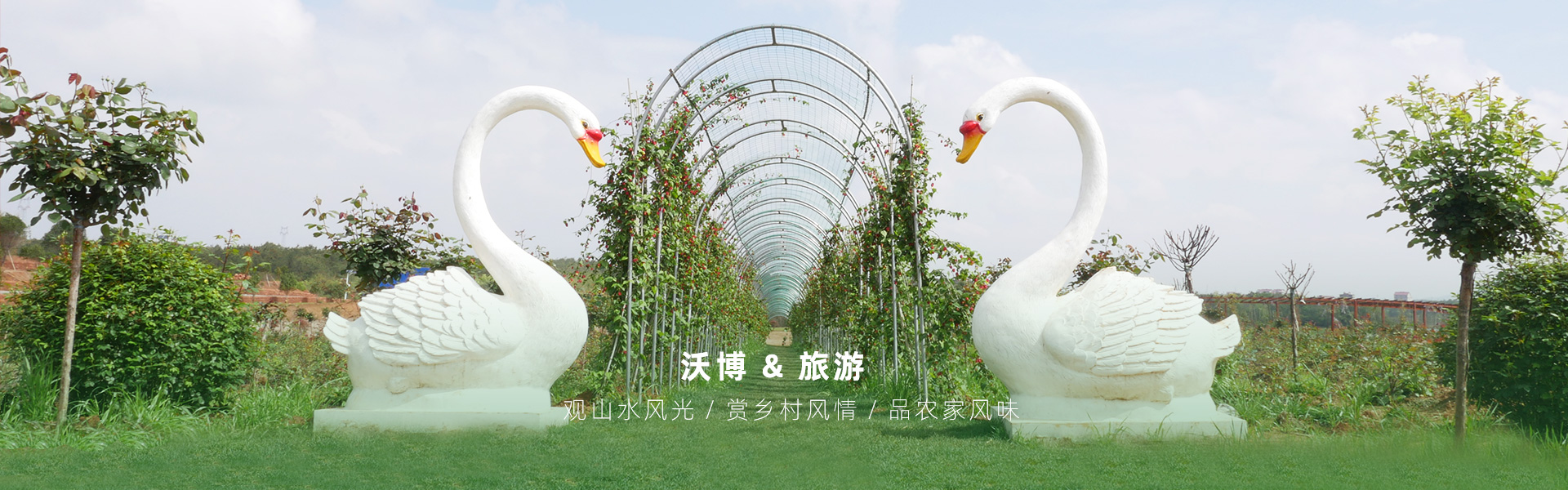 鮮果采摘都有江西沃博吳茱萸、江西沃博花海、江西沃博蔓荊子、江西沃博金銀花等品種，同時(shí)也是一家江西婚紗攝影旅拍基地和江西花海打卡基地，可以提供紫薇花花海造型服務(wù)，花花世界看沃博花海，相信我們這里不會(huì)讓大家失望的